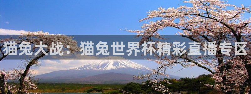 河豚足球比赛直播：猫兔大战：猫兔世界杯精彩直播专区