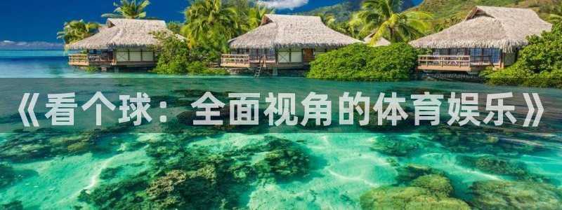 河豚体育nba在线直播：《看个球：全面视角的体育娱乐》