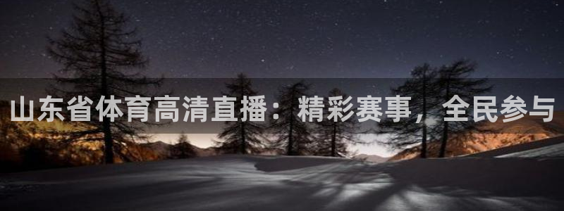 河豚体育直播cba免费下载：山东省体育高清直播：精彩赛事，全民参与