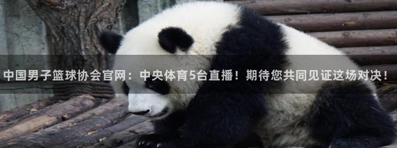 河豚足球直播网：中国男子篮球协会官网：中央体育5台直播！期待您共同见证这场对决！