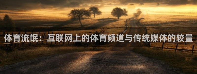 河豚体育直播免费下载：体育流氓：互联网上的体育频道与传统媒体的较量