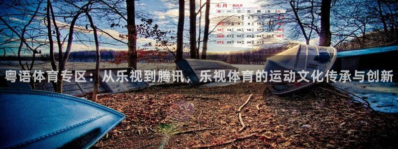 河豚篮球直播：粤语体育专区：从乐视到腾讯，乐视体育的运动文化传承与创新