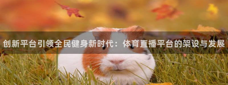 河豚足球体育直播：创新平台引领全民健身新时代：体育直播平台的架设与发展