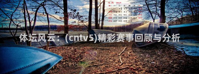 河豚免费nba在线直播：体坛风云：(cntv5)精彩赛事回顾与分析