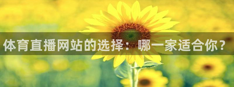 河豚体育篮球直播：体育直播网站的选择：哪一家适合你？