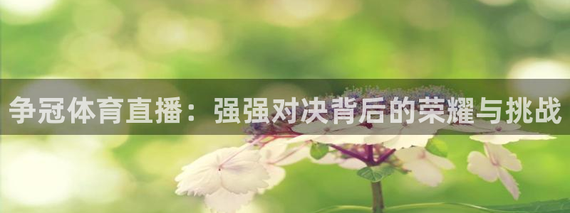 河豚体育nba直播下载：争冠体育直播：强强对决背后的荣耀与挑战