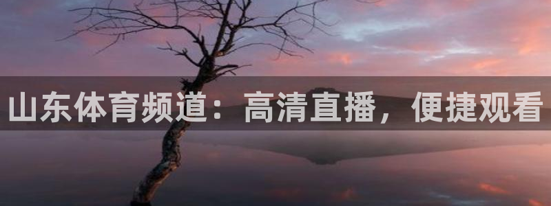 河豚体育：山东体育频道：高清直播，便捷观看
