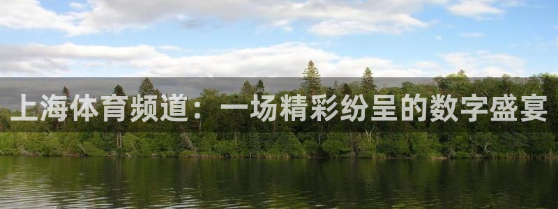 河豚体育nba直播下载：上海体育频道：一场精彩纷呈的数字盛宴